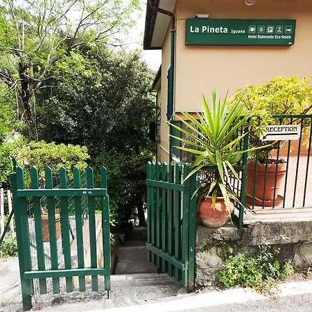 Hotel Pineta Dell'iguana Lavagna