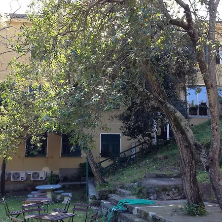 Pineta Dell'iguana *